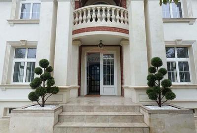 Casa / Vila de lux de vanzare in zona in zona Titulescu - 13