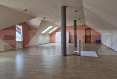 Duplex+Hala+5000 mp teren,zona Rebrisoara - 12