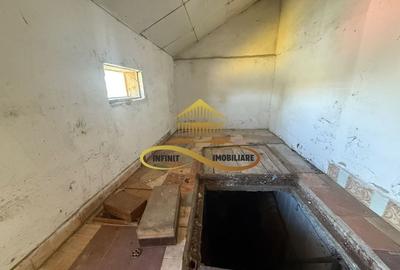 Casa de vanzare in Bacau Siretu 4000 mp teren 2 case curte comuna - 10