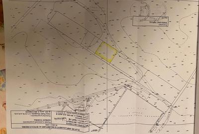 Teren 1174 mp Drumul Binelui - 5