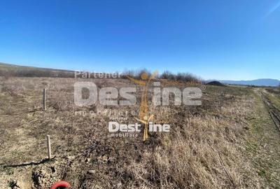 Teren Construcții intravilan de 400 mp, în Exterior Est - 2