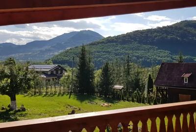 Cabana si Teren de Vanzare la Rimetea - 2