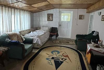 Casa + Livada in Borzesti - 9