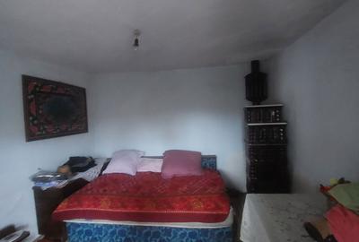 Casă cu 3 camere în Timișeni - 3