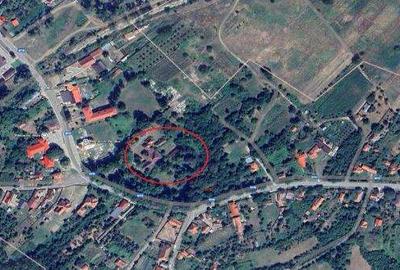 Proprietate deosebita. Potential atractie turistica - Conac Ilovat, MH - 11