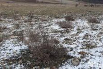 2 ha teren agricol la Izvoare judetul Dolj