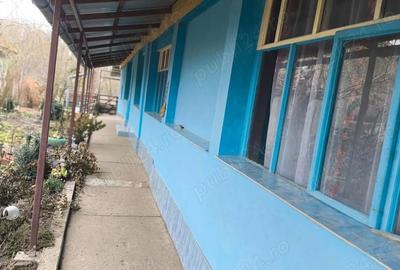 Casă cu 4 camere cu Teren 662 Mp în Periam - 7