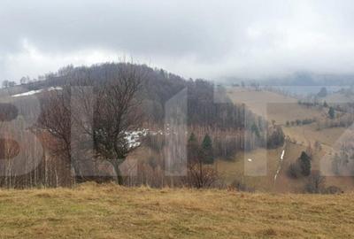 Teren de 9648 mp, în Central - 1