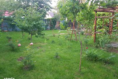 Casă cu 3 camere cu Teren 300 Mp în Militari - 2