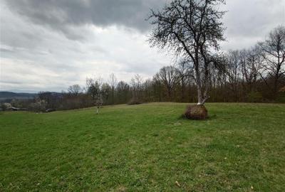 Teren intravilan de 9370 mp, în Țebea - 17