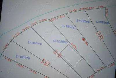 Vand casa de vacanta la rosu - 5