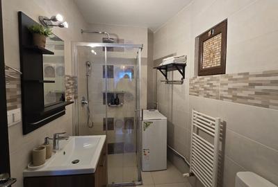 Garsonieră semidecomandată, mobilată în P-ța Universității - 8