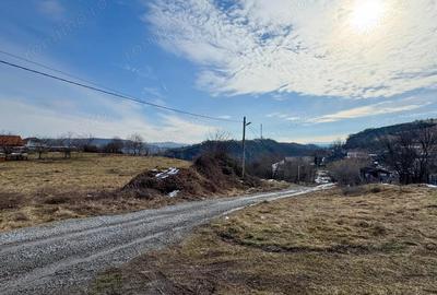 Teren de 24381 mp, în Central - 3