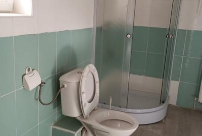 Casă cu 15 camere cu Teren 400 Mp în Timișoara - 1