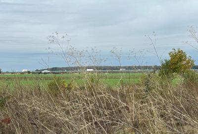 Darvari Ciorogarla Str Tineretului 2 loturi 500 mp zona in dezvoltare - 1