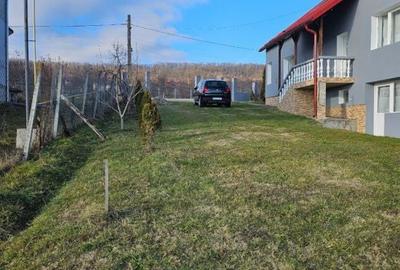 Casă cu 4 camere cu Teren 4600 Mp în Fărcașa - 9
