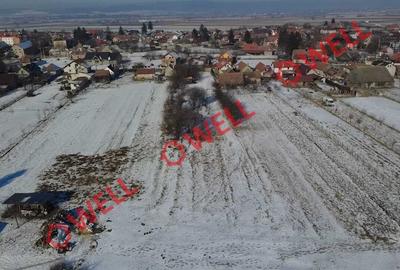 Teren intravilan de vânzare în Chichiș! - 4