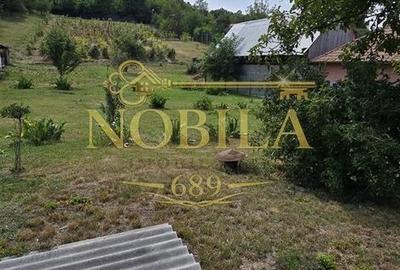 Teren de 10537 mp, în Bogdănești - 1