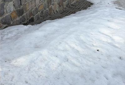 Casă cu 3 camere cu Teren 360 Mp în Harghita-Băi - 4