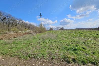 Teren de 2509 mp, în Snagov - 2