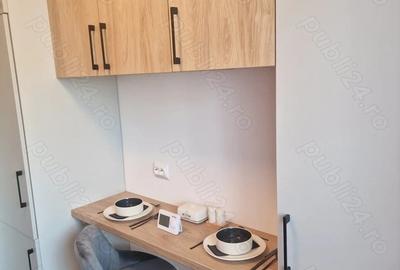 Apartament cu 2 camere decomandat, mobilat în Theodor Pallady - 7