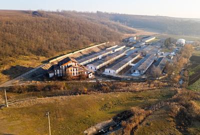 Spațiu comercial, de 50,000 mp, în Central - 1