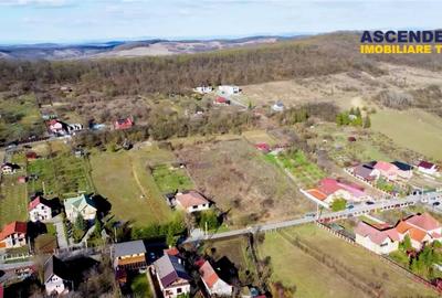FILM!2.580mp,intravilan,construibil,sursa proprie apa,Valea