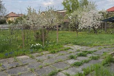 Casă cu 4 camere în Sub Arini - 5