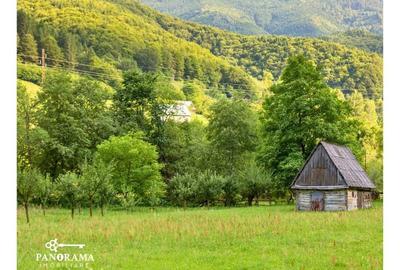 Afacere turistică „La Cheie” în inima Mărginimii Sibiului - 6
