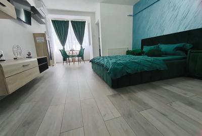 Regim hotelier apartament cu o camera - 1