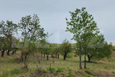 Teren de 12524 mp, în Central - 10