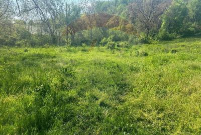 Teren 1,000mp Magura / Strada Valea Magurii - 4