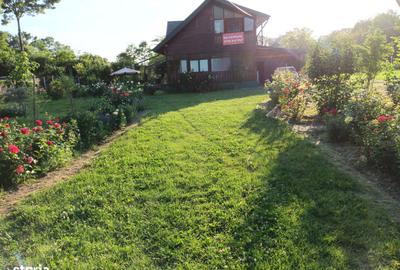 Casă cu 5 camere cu Teren 6000 Mp în Bârla - 7