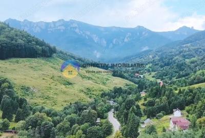 TEREN Izvoru Muntelui, langa orasul BICAZ - 8