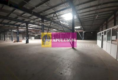 Spațiu industrial, de 4,850 mp, în 1 Decembrie - 47