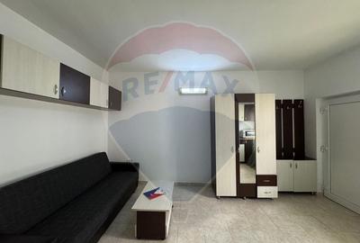 Apartament cu 1 camere nedecomandat, mobilat în Central