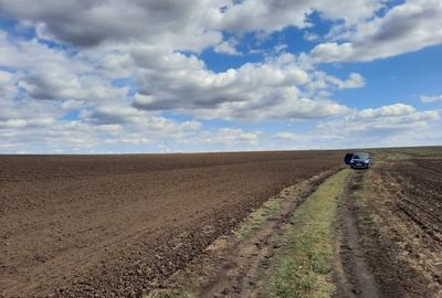 Teren de 30000 mp, în E3
