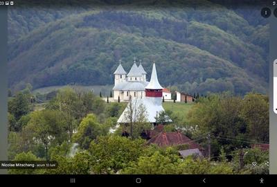 Casă individuală cu 4 camere cu Teren 2450 Mp în Luncoiu de Sus - 2