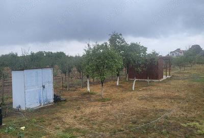 Casă cu 5 camere cu Teren 2000 Mp în Călacea - 9