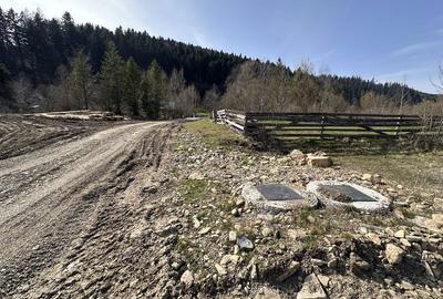 Teren de 6888 mp, în Putna - 3