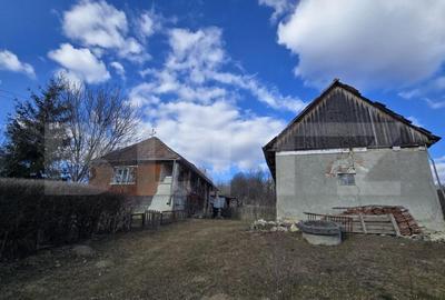 Casa cu farmec rustic, teren de 4887 mp - 3