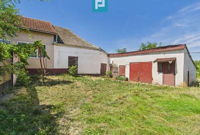 Teren 4919 mp- Comuna Călacea - 6