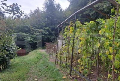 Casă cu 2 camere cu Teren 1000 Mp în Vulcan - 2