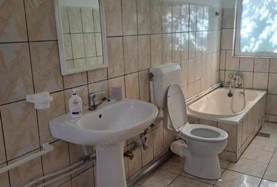 Casă cu 5 camere cu Teren 7900 Mp în Pleșcoi - 8