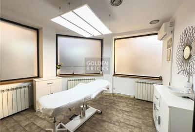 Piata Victoriei | 7 Camere | Metrou 4 '| Vila Individuala - 9