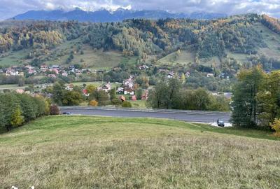 Teren de 4700 mp, în Moieciu - 2