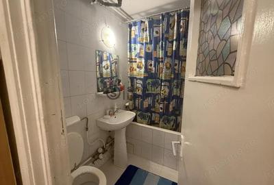 3 camere semi, Gradina Botanica - 95 000 Euro - 6
