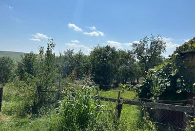 Casă cu 4 camere în Rediu - 4