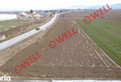 Teren de 4100 mp, în Tușnad - 7