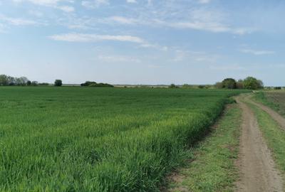 Comuna Vidra, Județul Ilfov - Str. Oituz  -pentru construire ansambu de case - 3